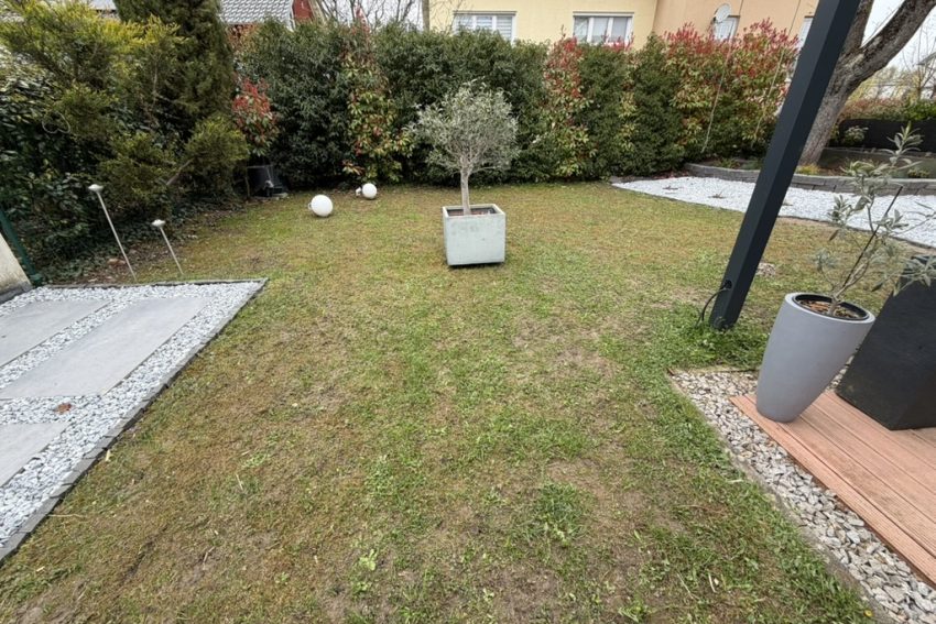 Rasenrenovierung in Baden-Baden: Kampf gegen Moos, Schatten und Hecke